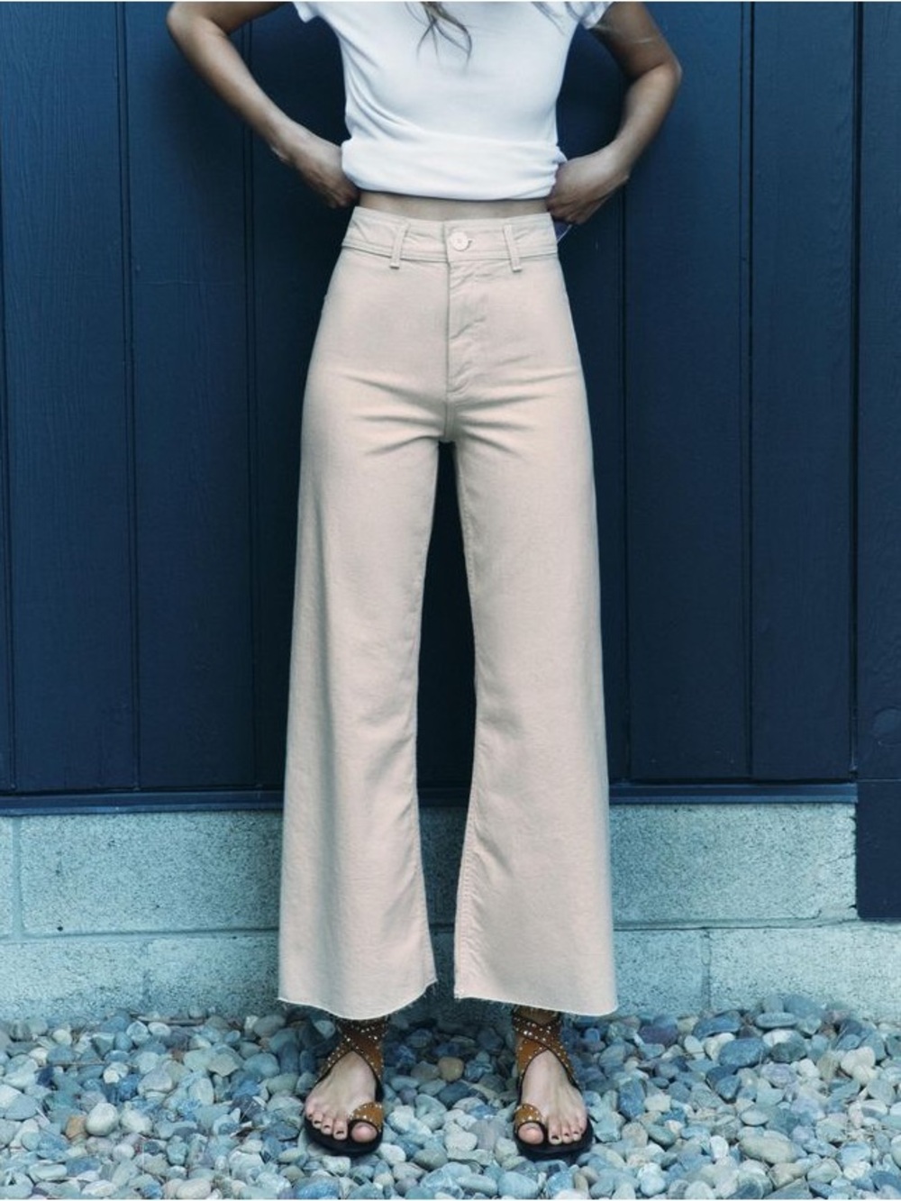 Zara Marine Wide Leg Pants Size 4